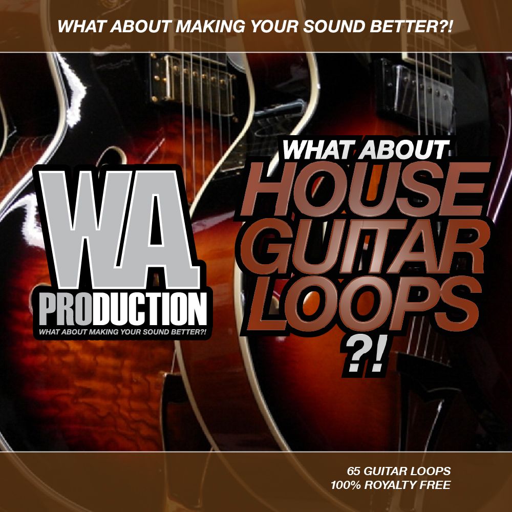 Artwork of What About House Guitar Loops