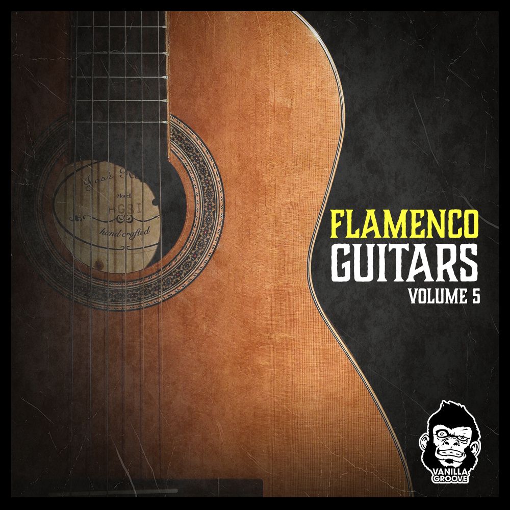 Artwork of Flamenco Guitars Vol 5