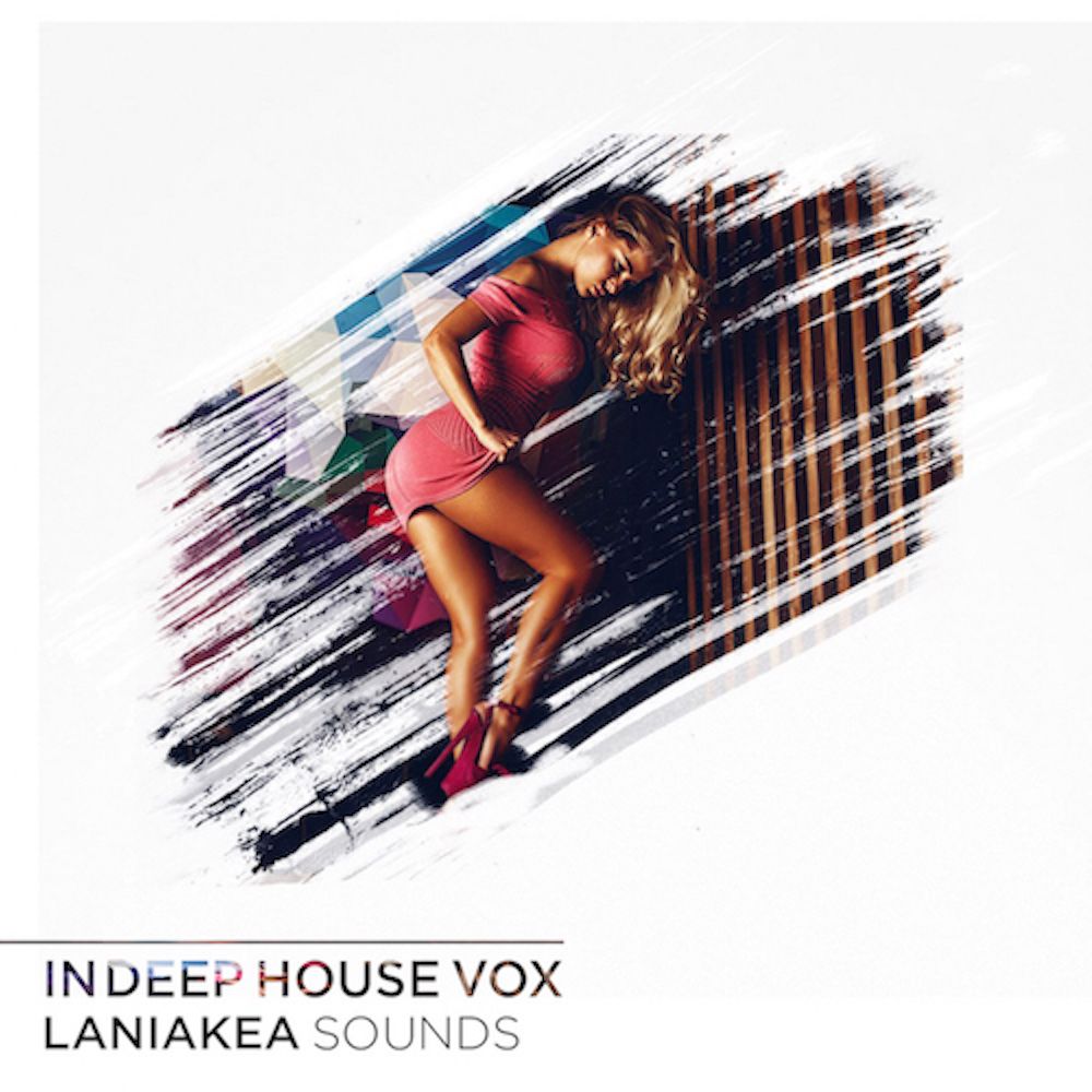 Pochette de In Deep House Vox