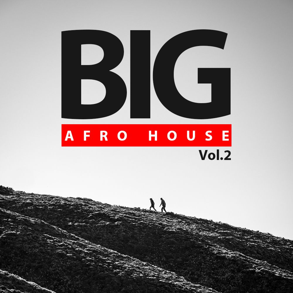 Pochette de Big Afro House Vol.2