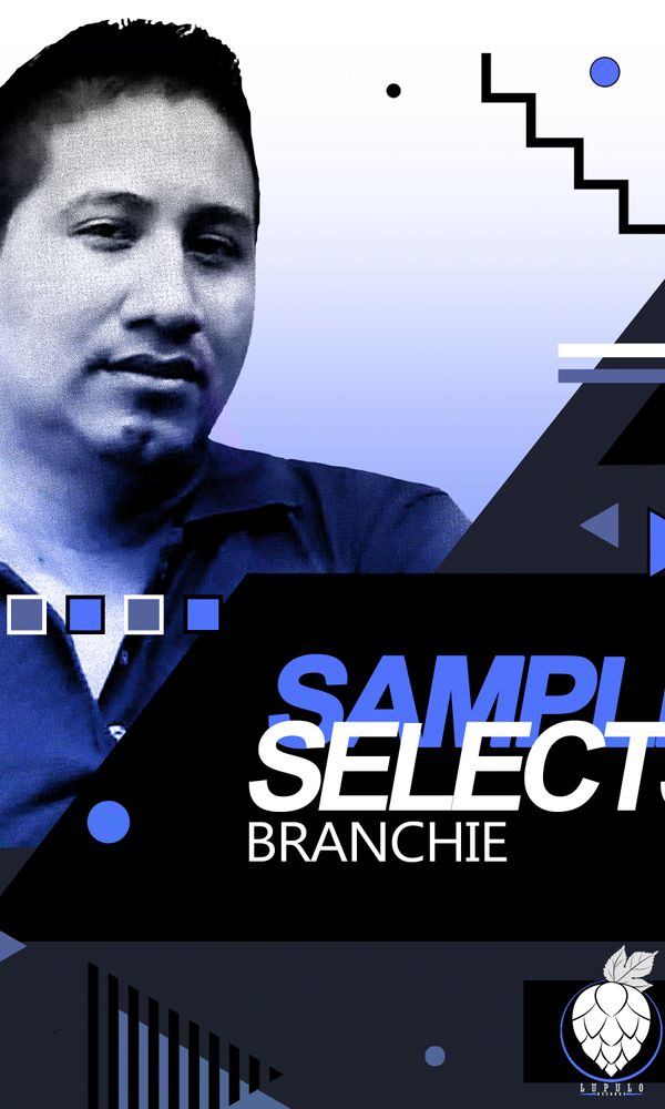Artwork for Sample Selects By Branchie