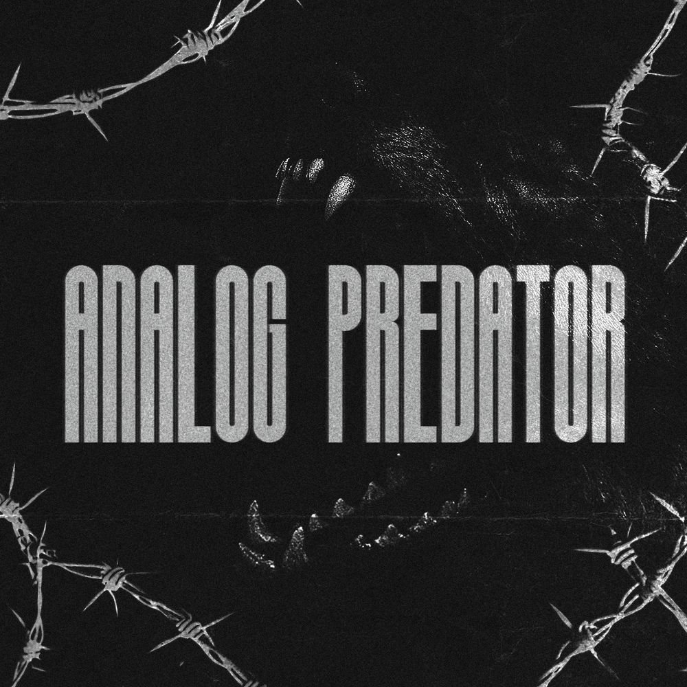 Artwork of Analog Predator