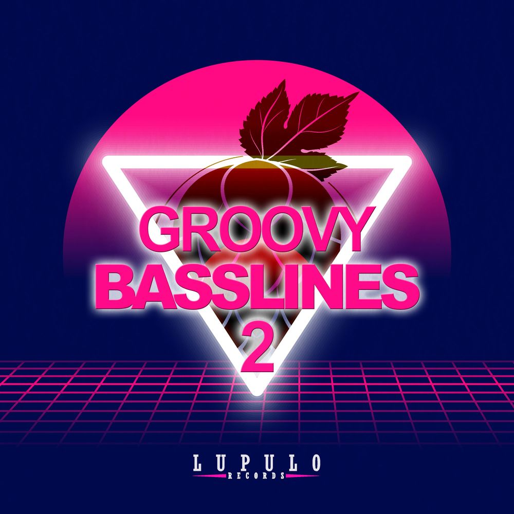 Pochette de Groovy BassLines Vol. 2