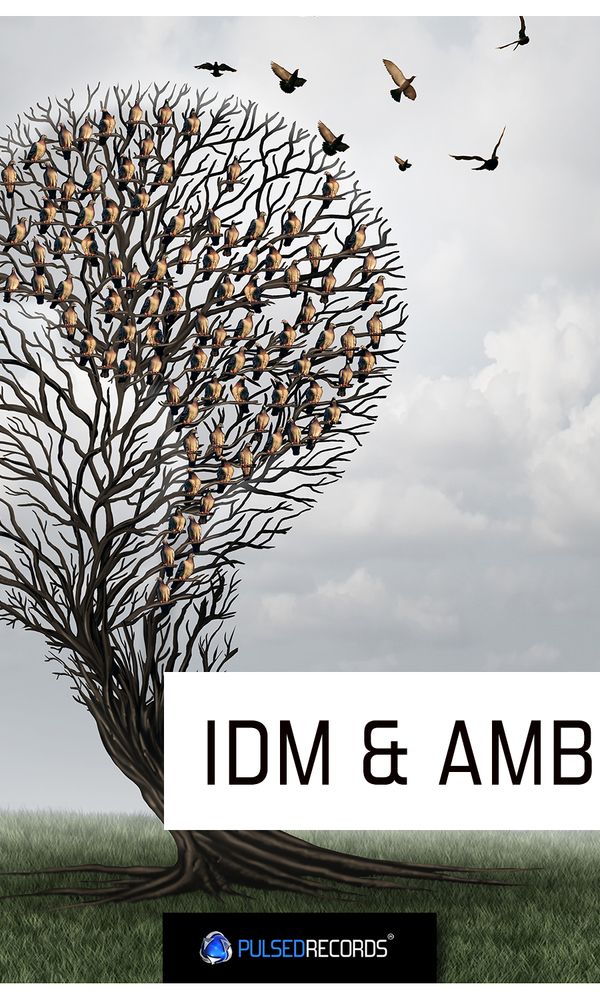 Artwork for IDM & Ambient 