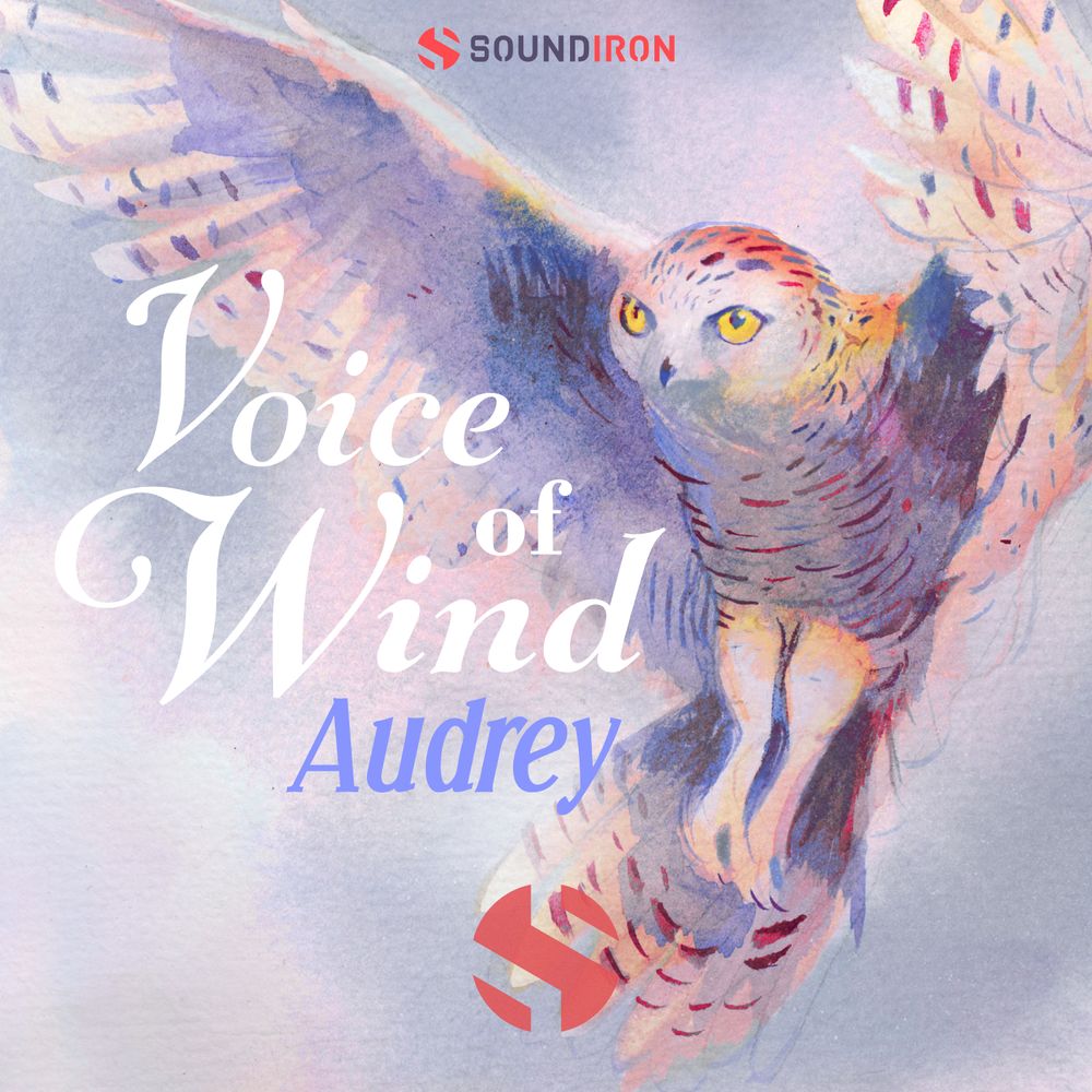 Pochette de Voice of Wind Audrey