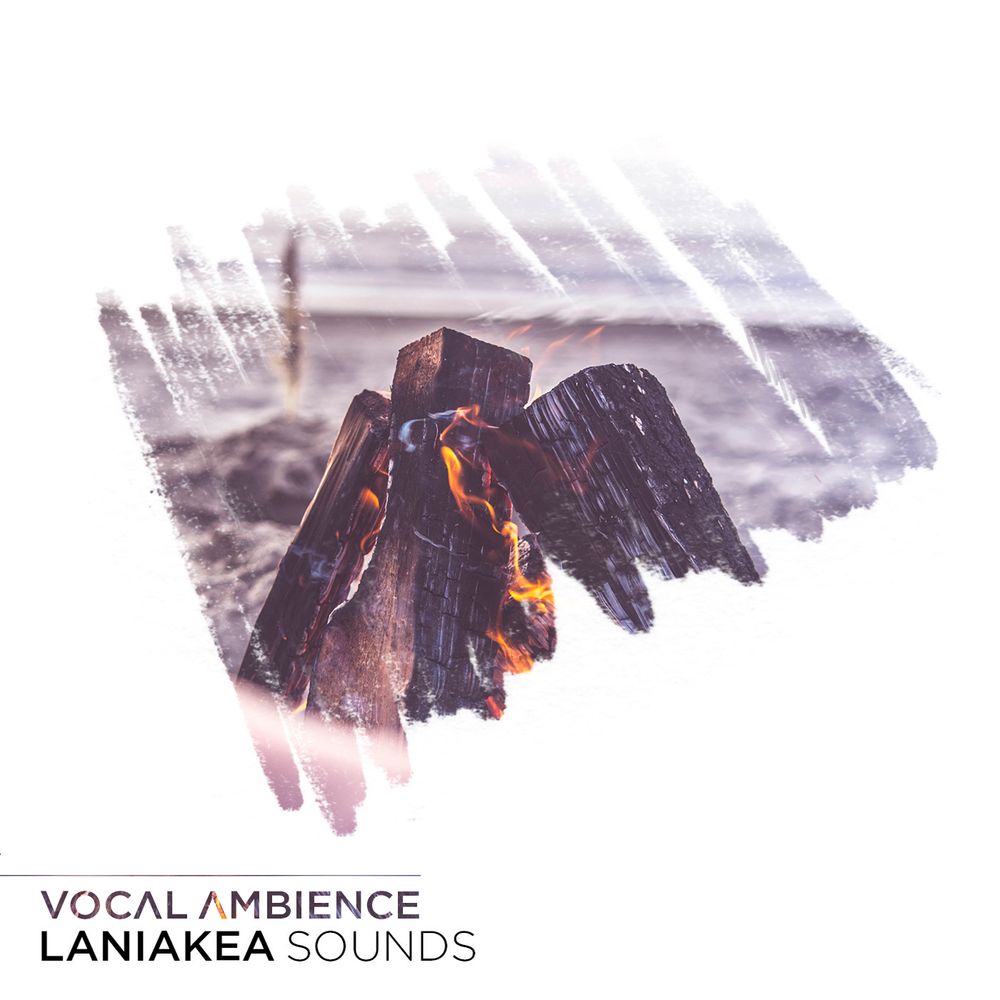 Pochette de Vocal Ambience