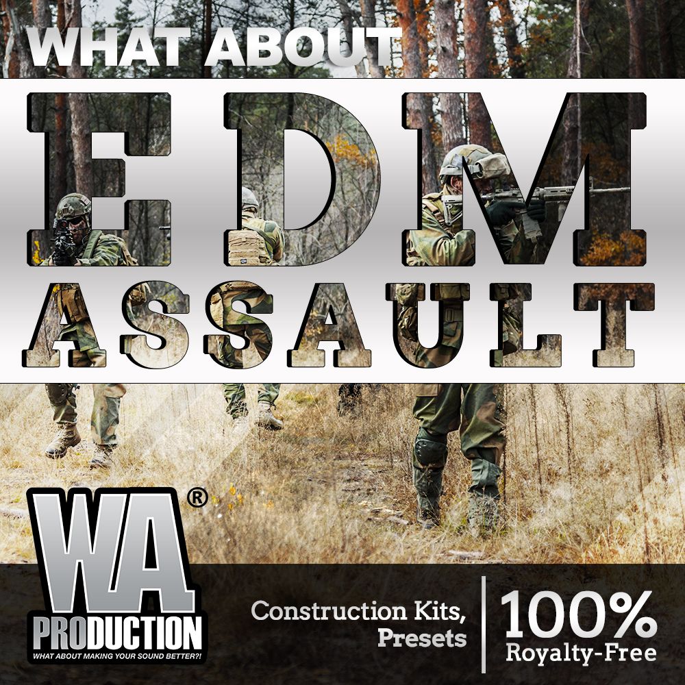 Arte de What About EDM Assault