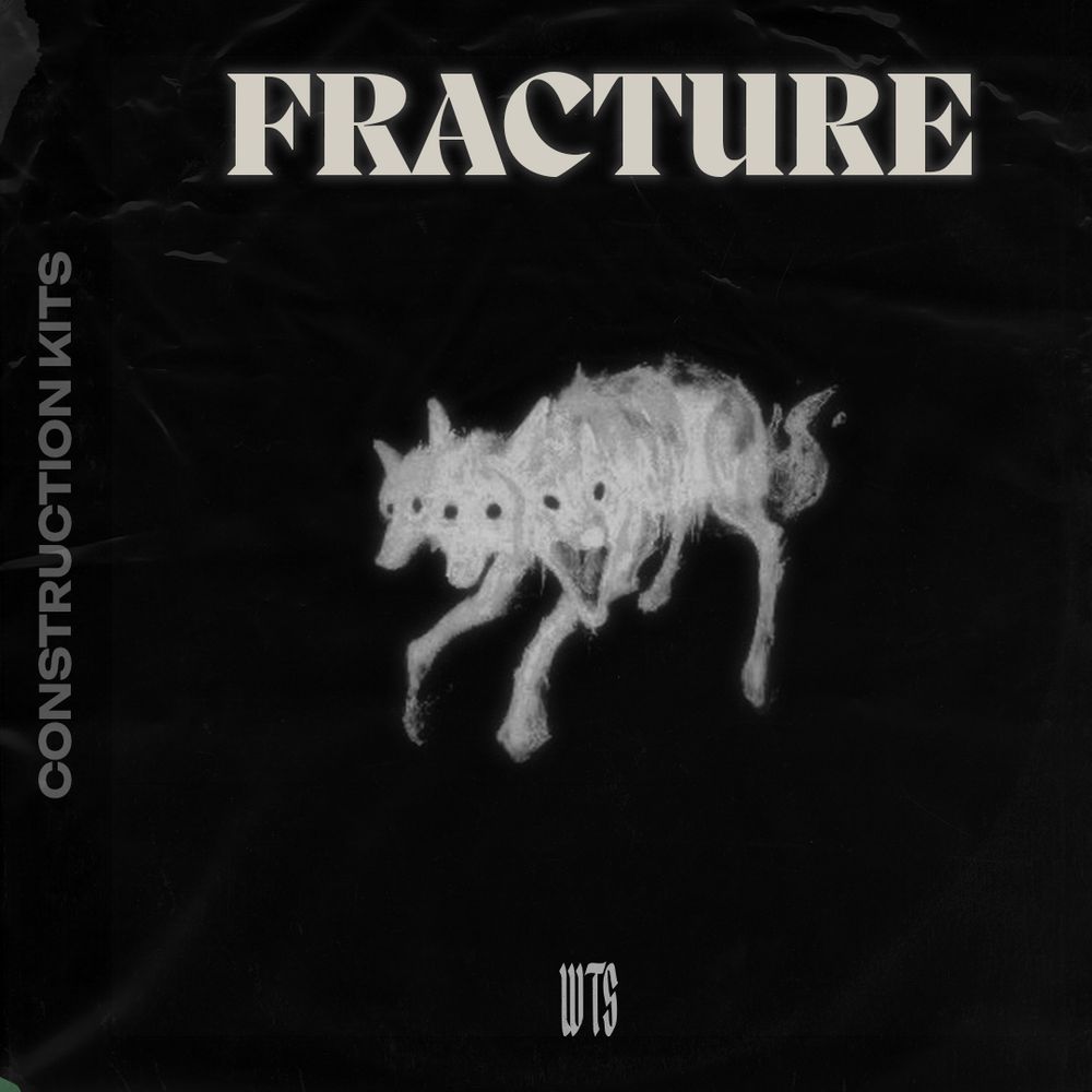 Pochette de FRACTURE