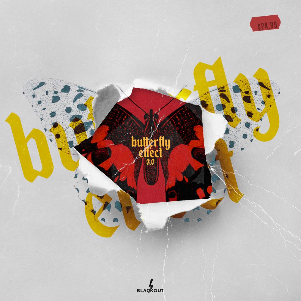 Arte de Butterfly Effect 3