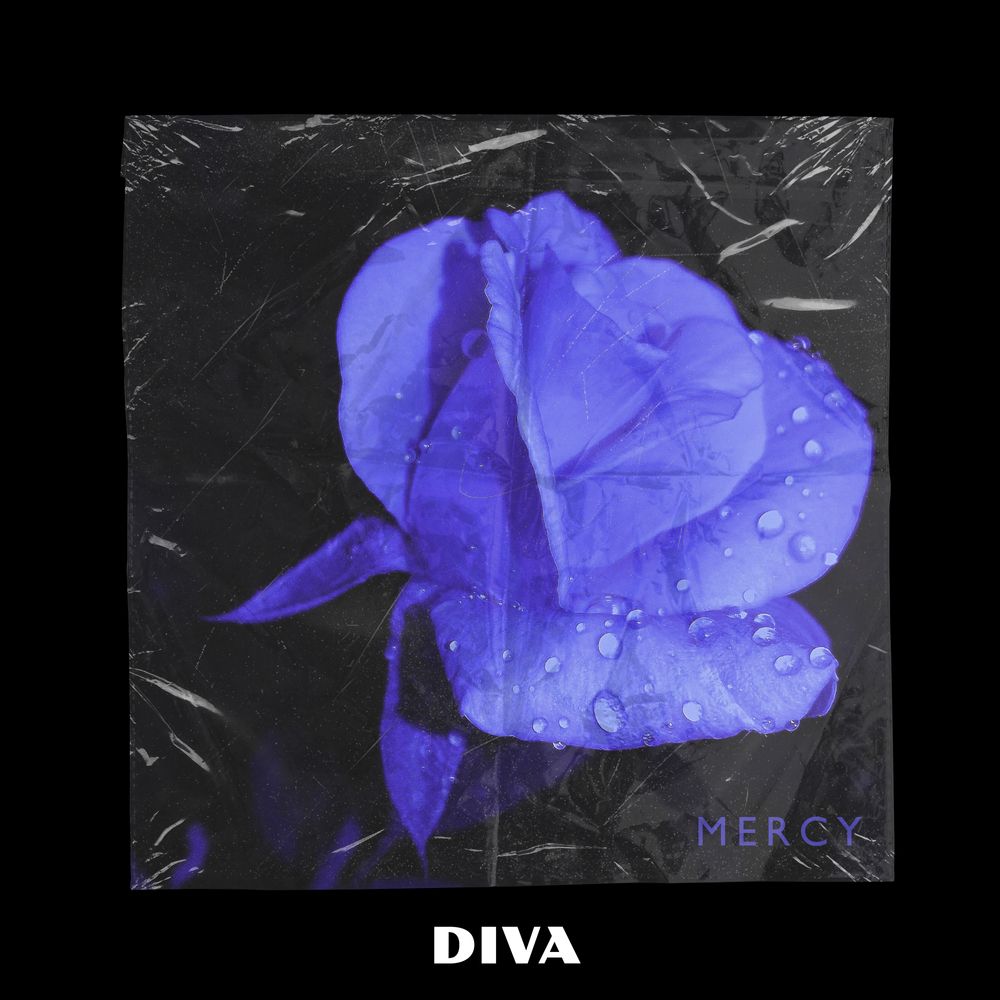 Cover of Mercy - Hip-Hop Selection