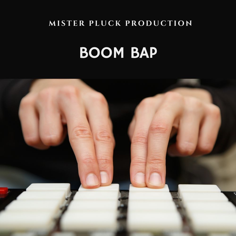 Boom Bap Sample Pack | LANDR Samples