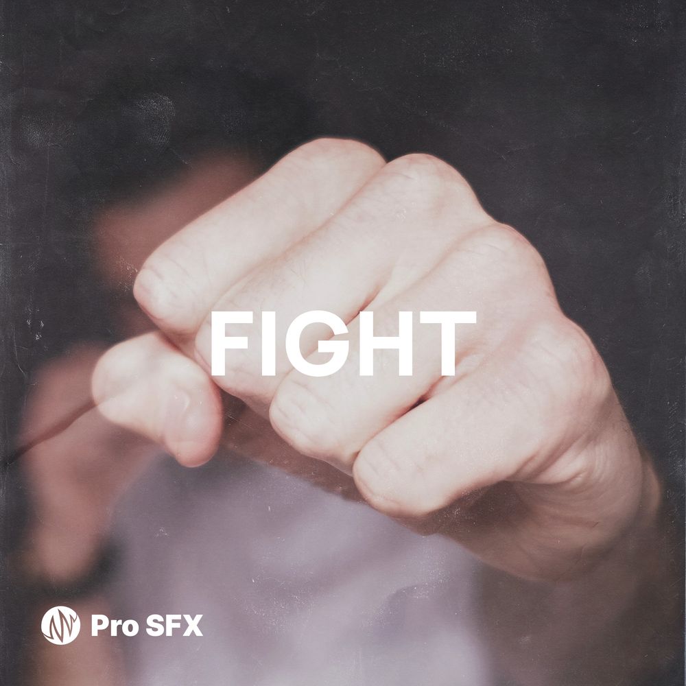 Arte de Fight
