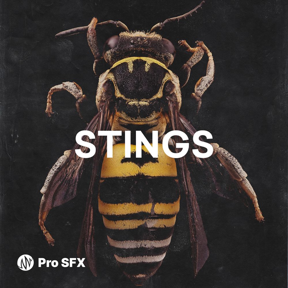 Pochette de Stings