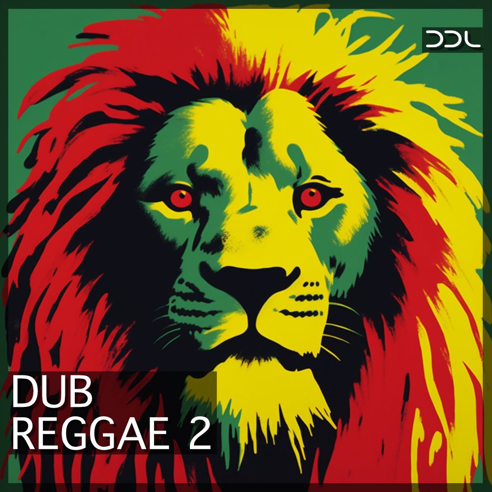 Pochette de Dub Reaggae 2