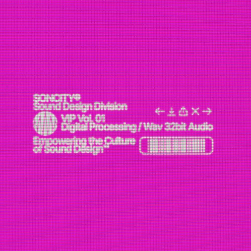Pochette de V.I.P