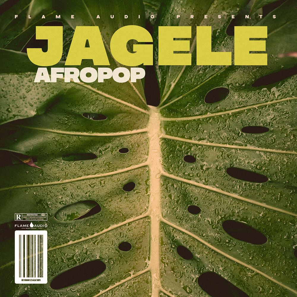 Pochette de JAGELE Afropop