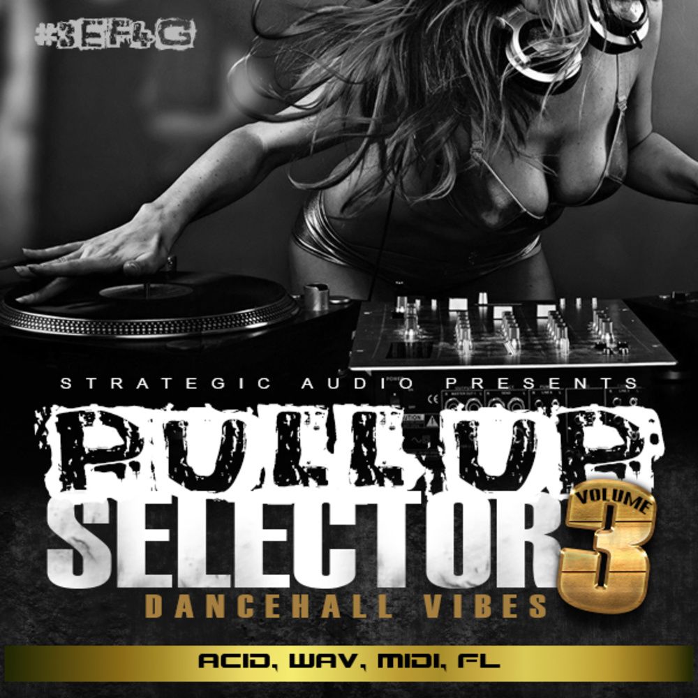 Pochette de Pull Up Selector: Dancehall Vibes Vol 3
