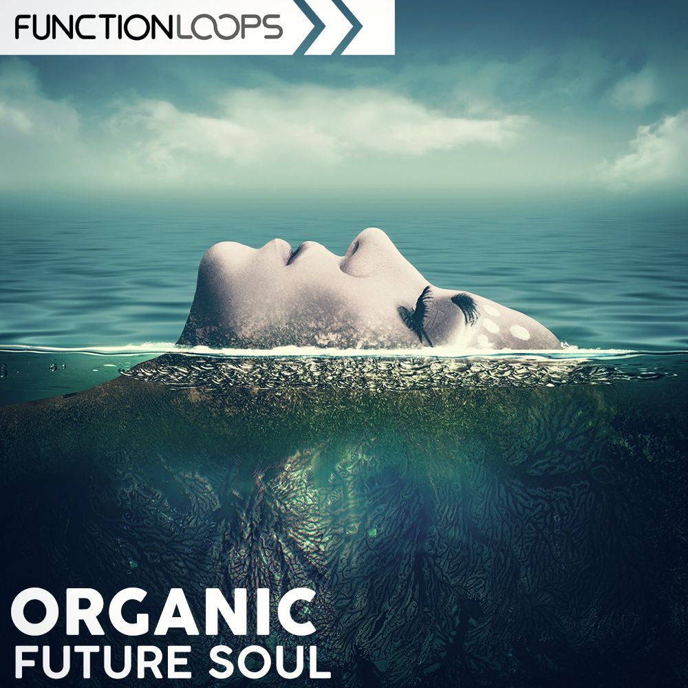Pochette de Organic Future Soul