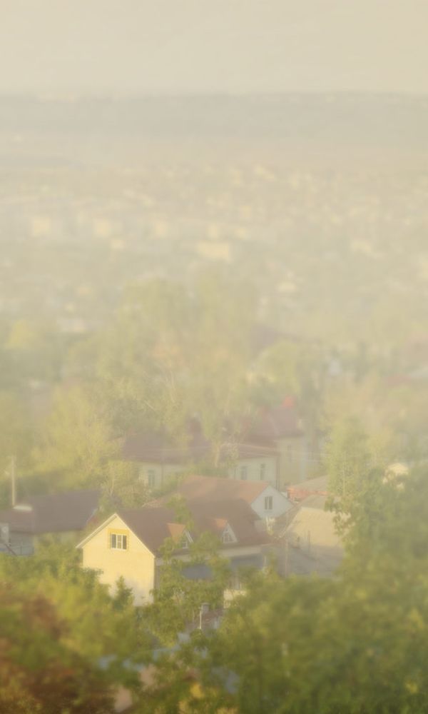 Artwork for BlueSheep