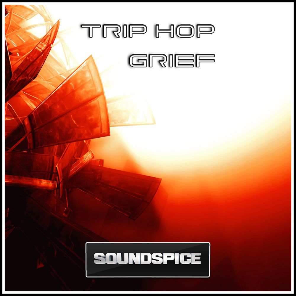 Pochette de Trip Hop Grief