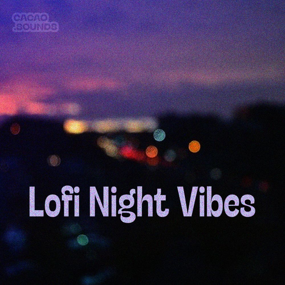 Pochette de Lofi Night Vibes