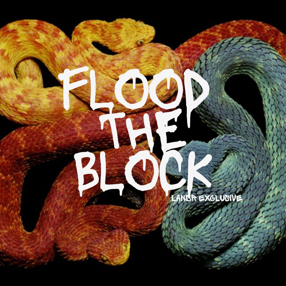 Pochette de Flood The Block