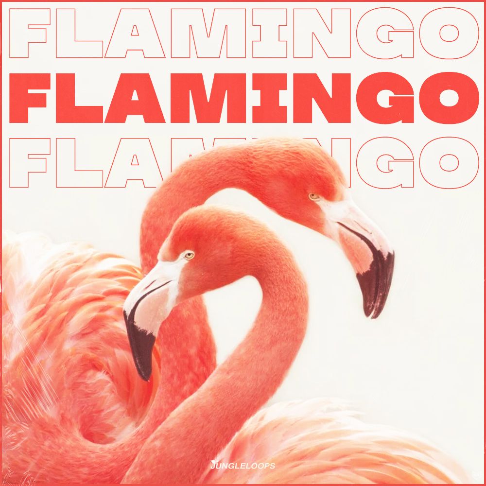 Pochette de Flamingo
