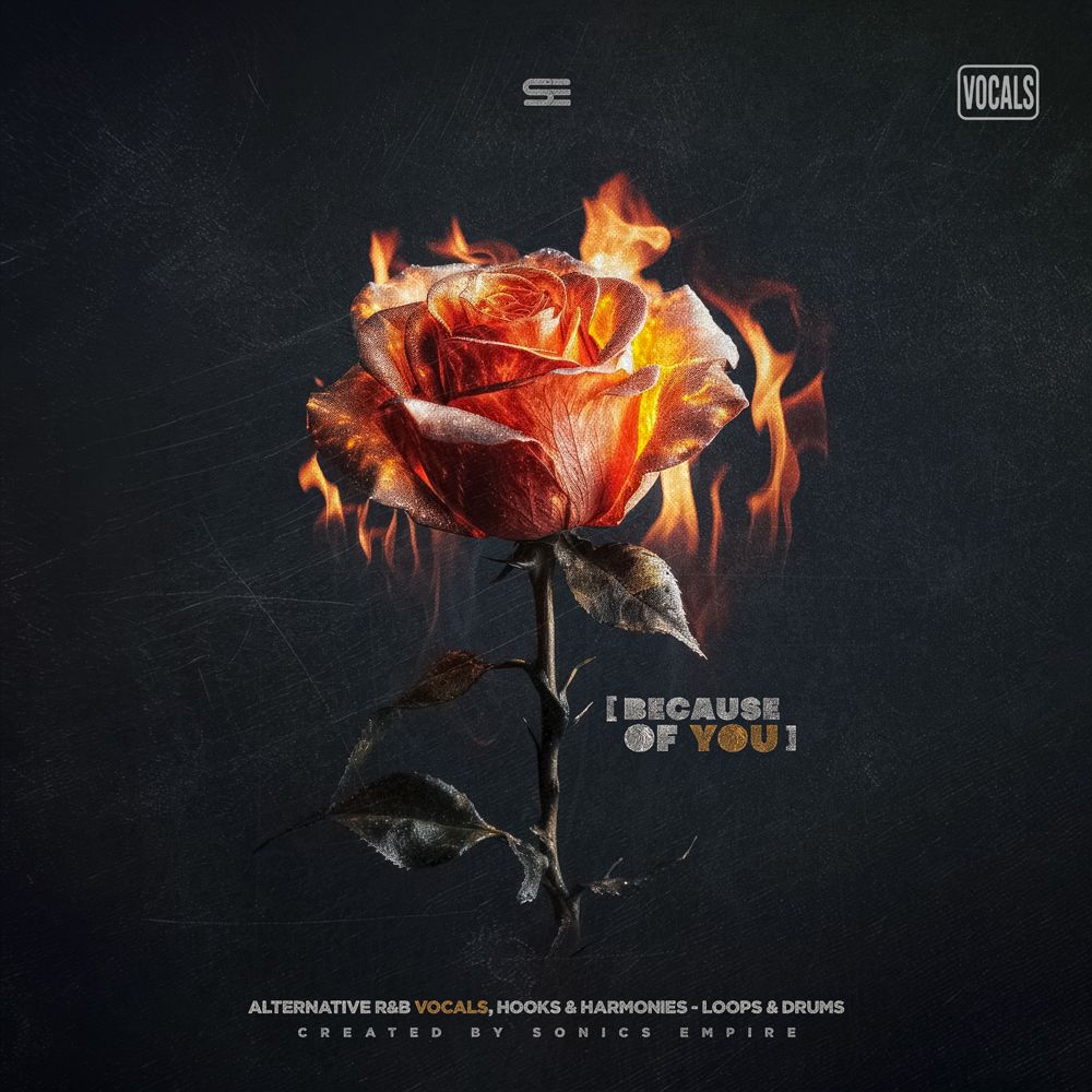 Arte de Because of You
