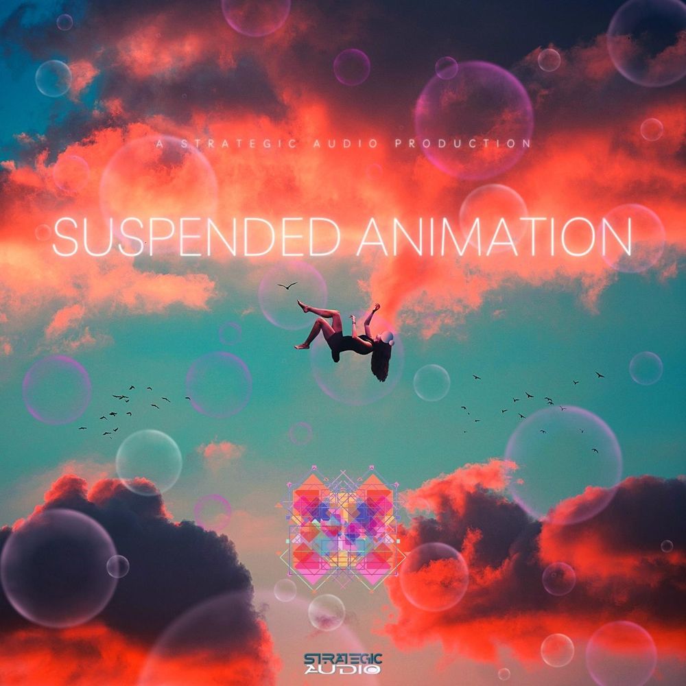 Pochette de Suspended Animation