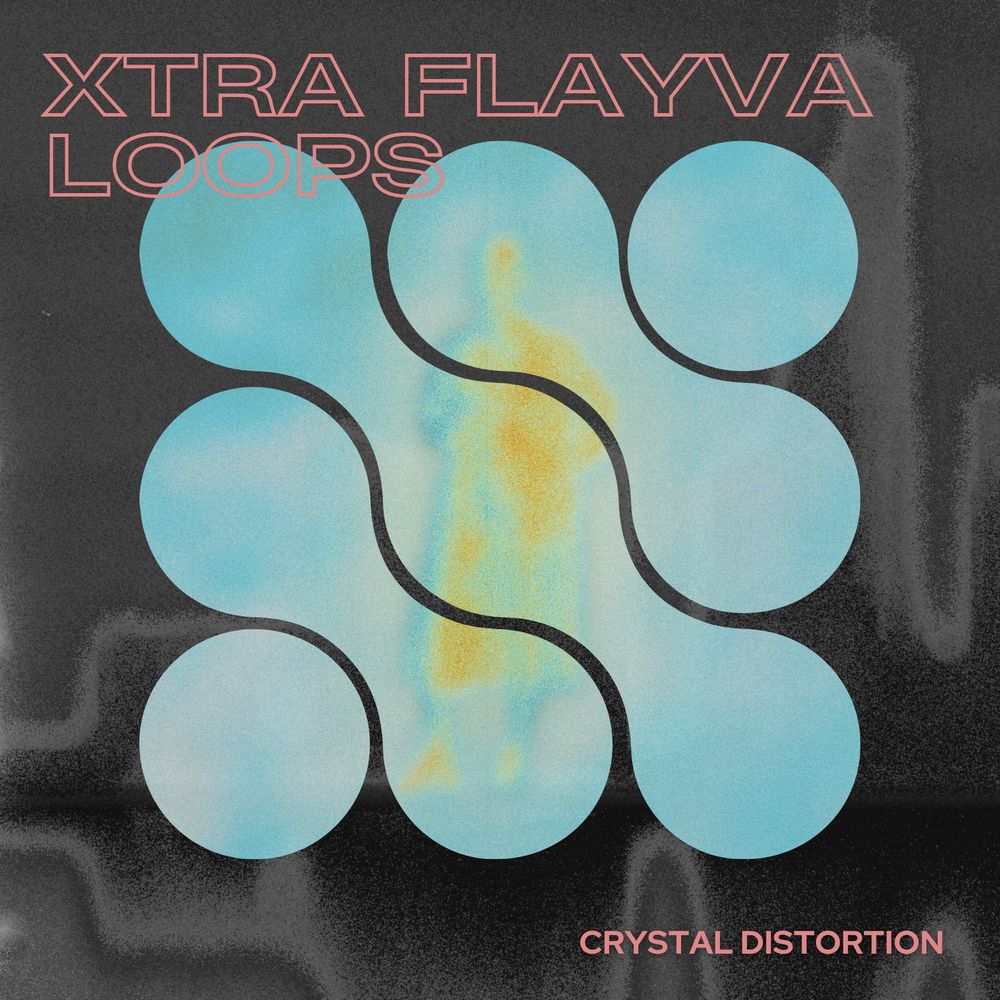 Pochette de Xtra Flayva Loops