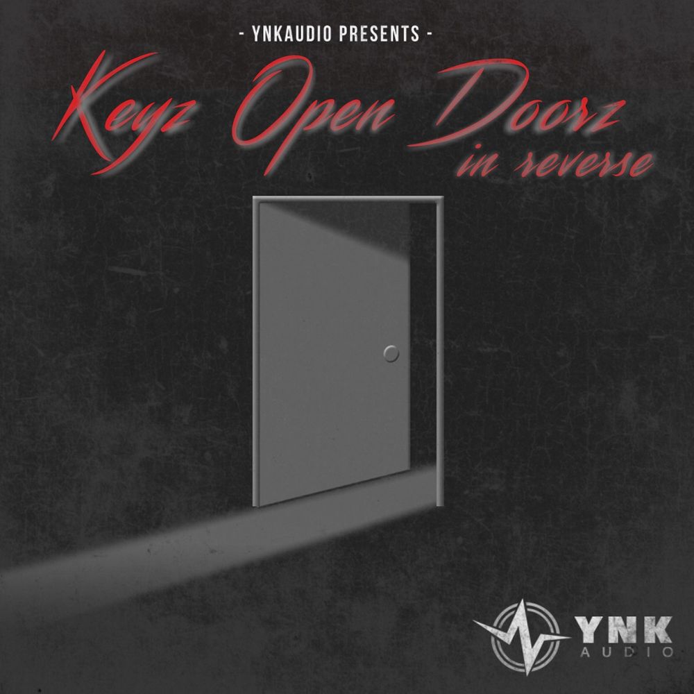 Pochette de  Keyz Open Doorz In Reverse