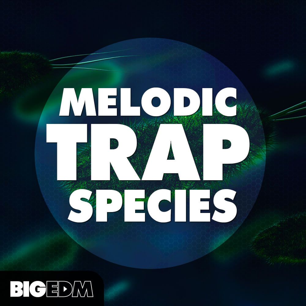 Arte de Melodic Trap Species