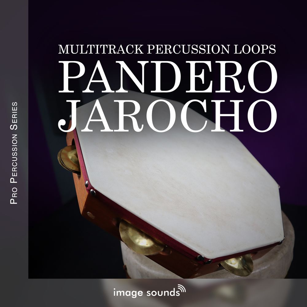 Arte de Pandero Jarocho