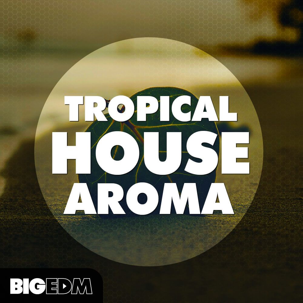 Arte de Tropical House Aroma