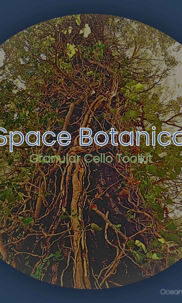 Artwork for ORS_CelloTexture_Galactic_ZipSpaceGlitch_keyB