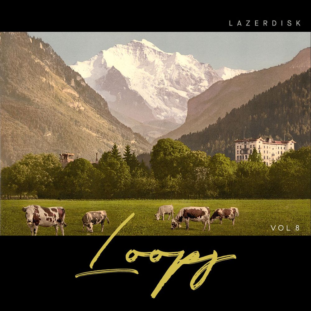 Lazerdisk Loops Vol 8 Sample Pack Landr Samples