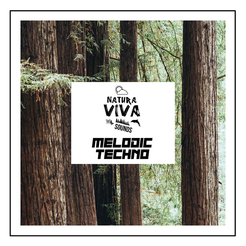 Arte de Natura Viva Sounds - Melodic Techno