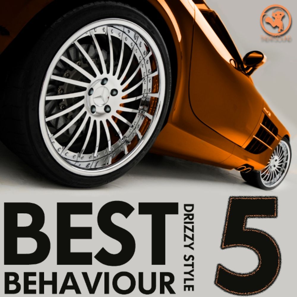 Arte de Best Behaviour 5