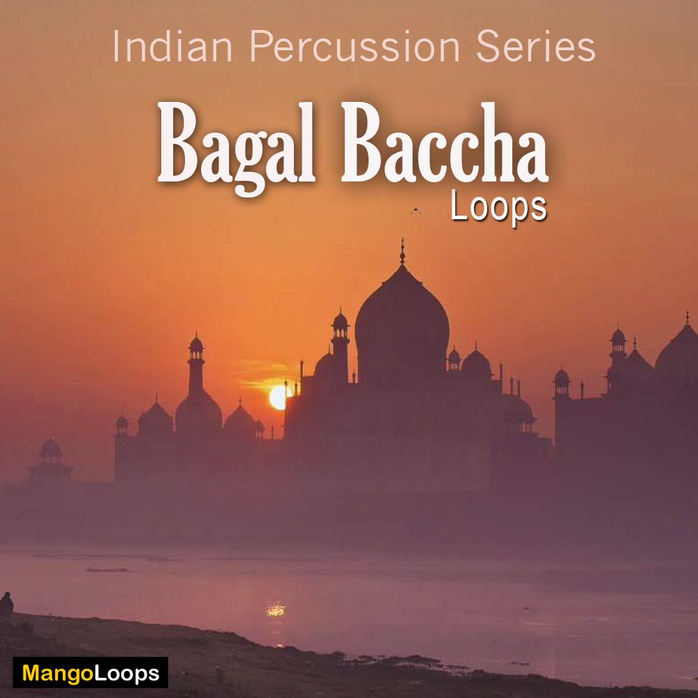Arte de Indian Percussion Series: Bagal Baccha