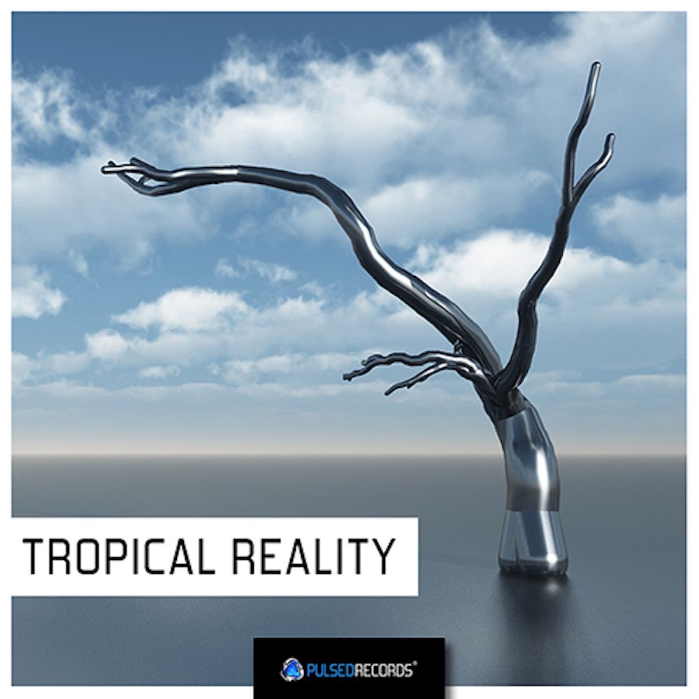 Pochette de Tropical Reality