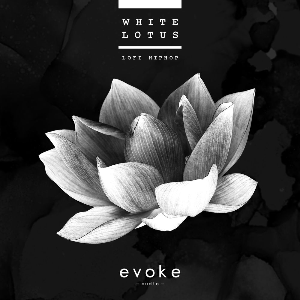 Arte de White Lotus - Lofi Hiphop
