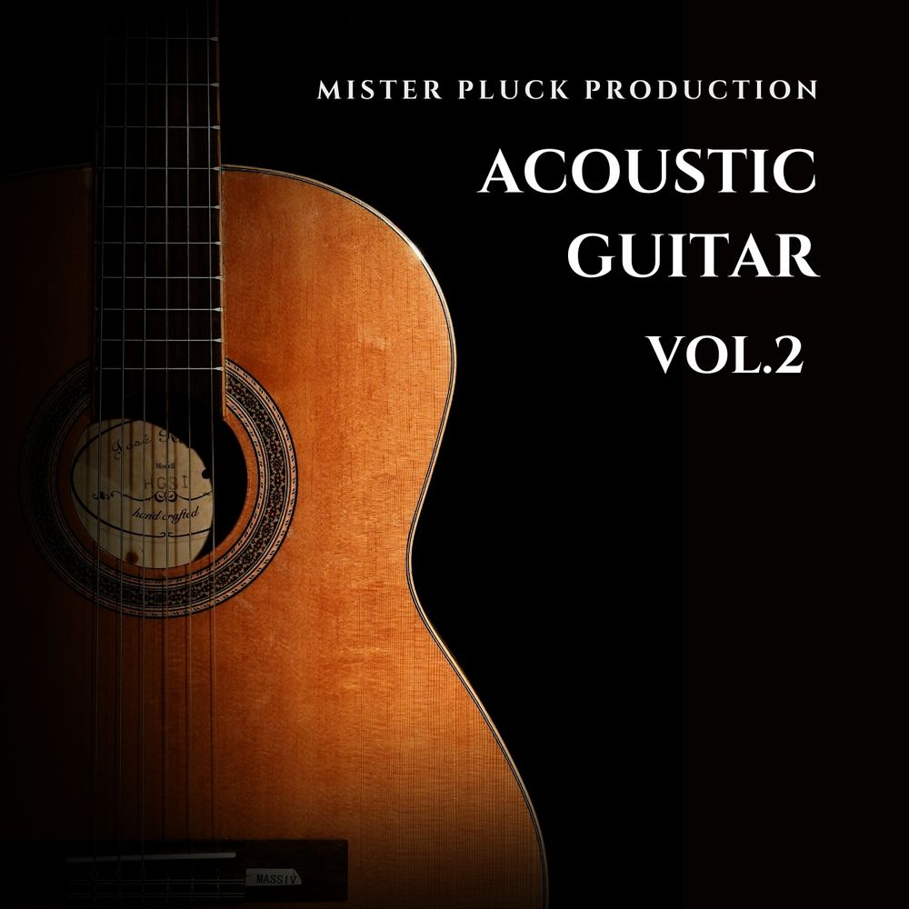 Arte de Acoustic Guitar Vol.2