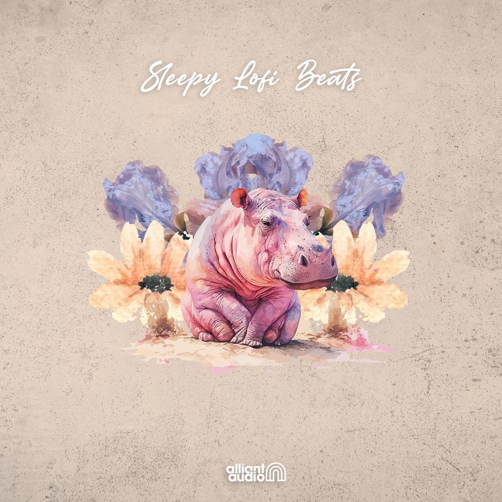 Pochette de Sleepy Lo-fi Beats