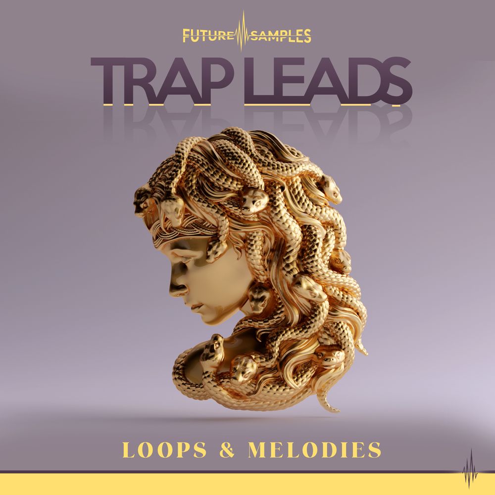 Pochette de Trap Leads