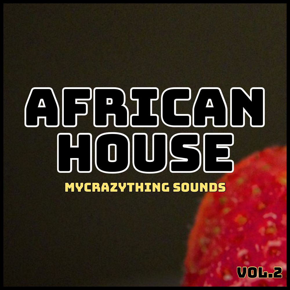Pochette de African House vol.2