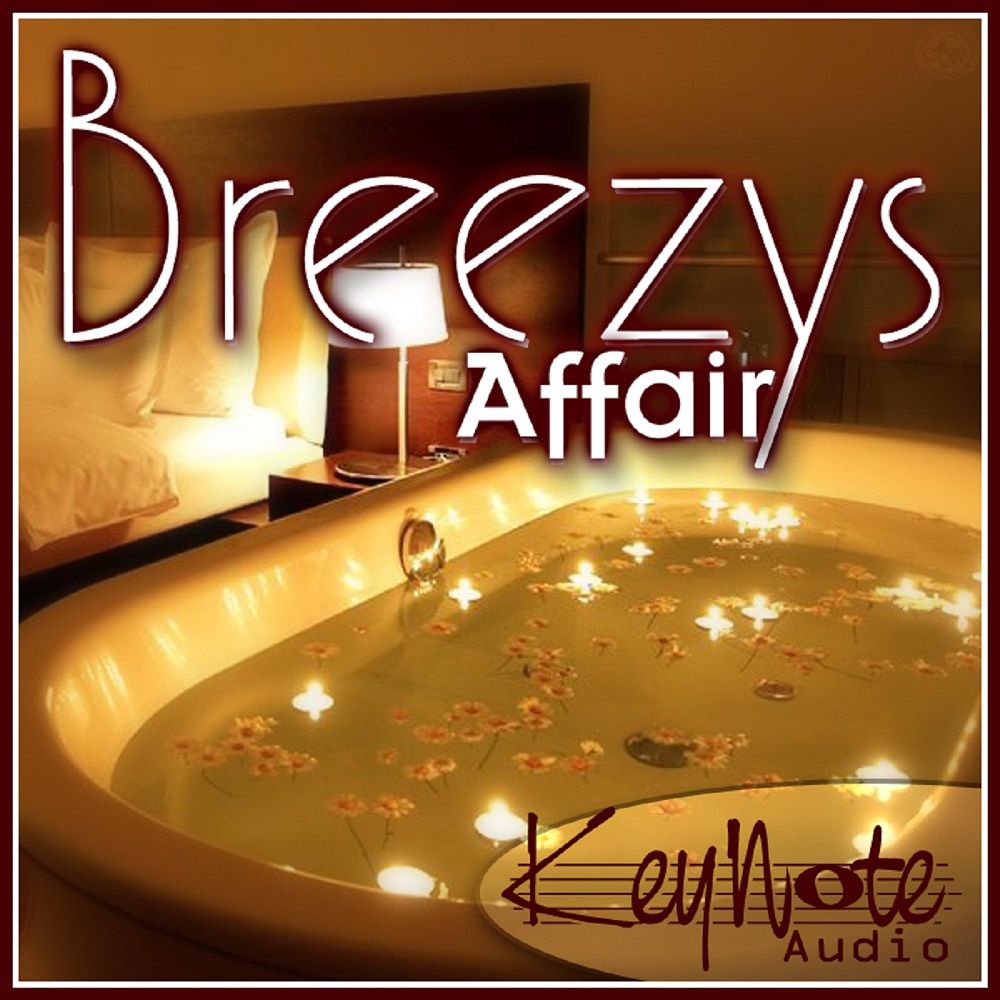Pochette de Breezys Affair