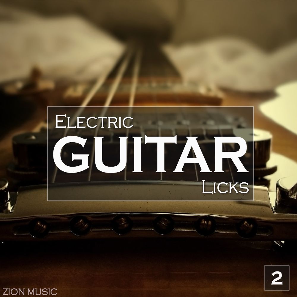 Electric Guitar Licks Vol 2 Sample Pack LANDR Samples