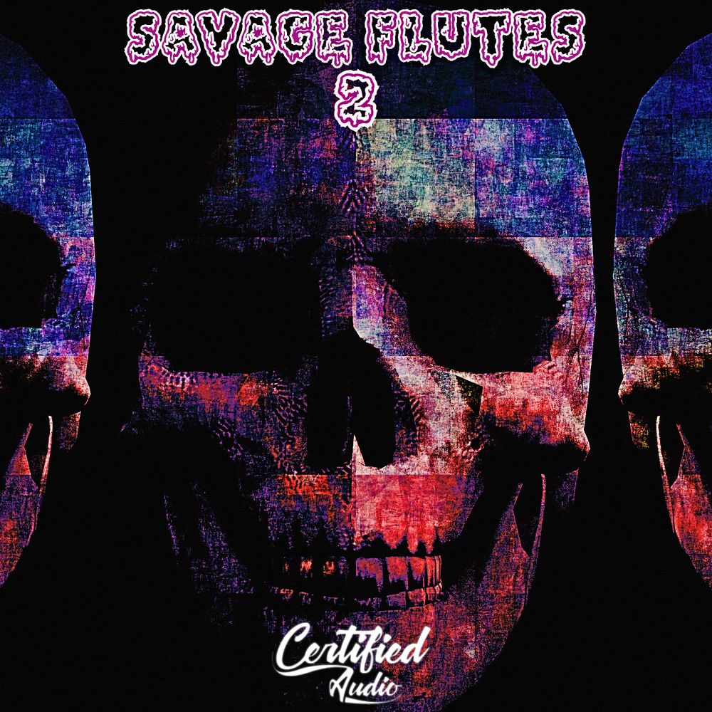 Pochette de Savage Flutes 2