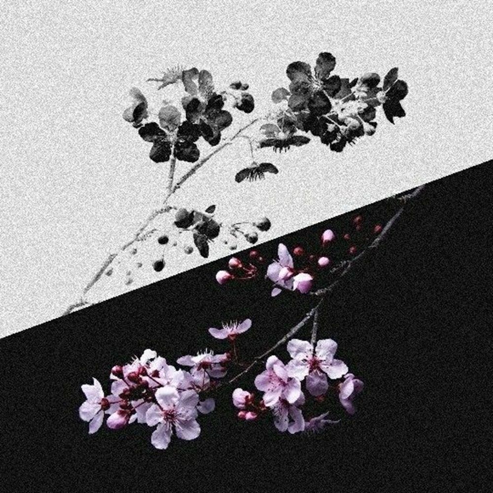 Pochette de Gloomy Vibes Vol.7