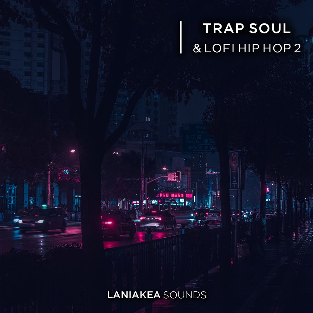 Pochette de Trap Soul & Lo-Fi Hip-Hop 2